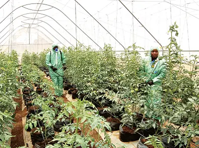 Afara AgriFarm Training