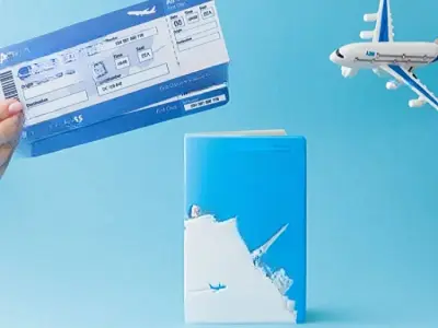 Visa Advisory Services